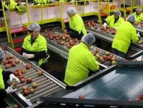 Canada Fruit Packing Jobs