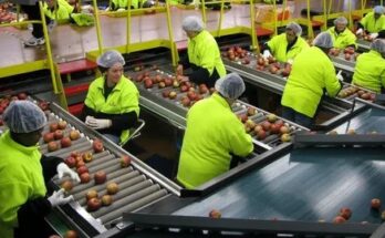 Canada Fruit Packing Jobs
