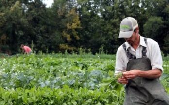  Poland Farm Jobs