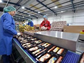 Canada Vegetable Packing Jobs