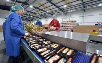 Canada Vegetable Packing Jobs