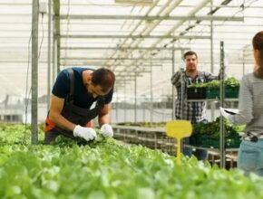  Malta Agriculture Jobs