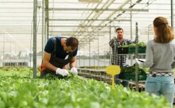  Malta Agriculture Jobs