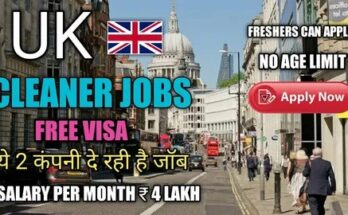 Top 10 Odd Jobs in the UK for Immigrants